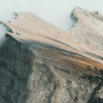 cropped service 3.jpg